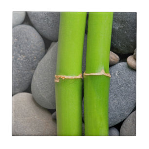 Bamboo and pebble ceramic tile