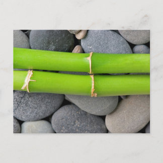 Bamboo and pebble postcard