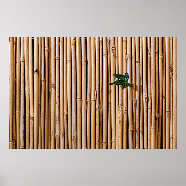 Bamboo barrier screen fence poster (Front)