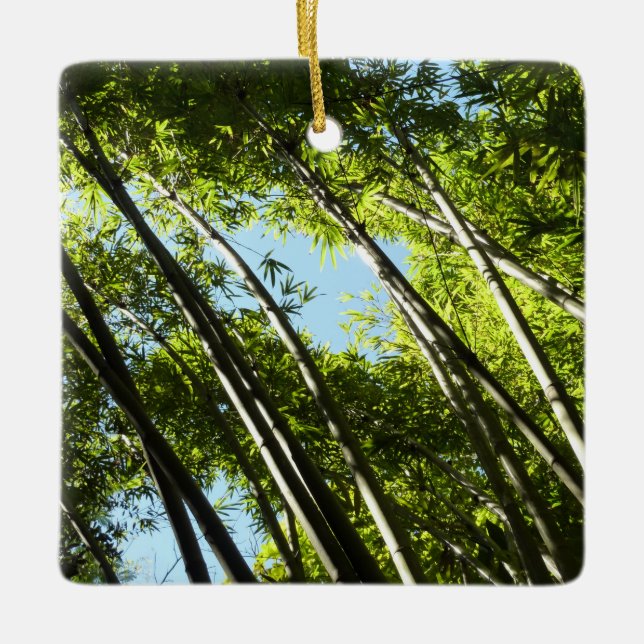 Bamboo Botanical Nature Ceramic Tree Decoration (Front)