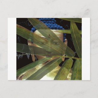 Bamboo Buddha Postcard