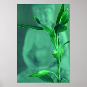 Bamboo Buddha Poster