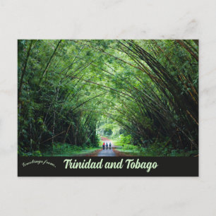 Bamboo Cathedral Trinidad and Tobago Postcard