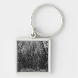 Bamboo Clump, Trinidad, c.1891 Key Ring