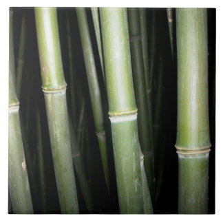 Bamboo Design Wall Tile