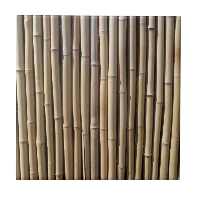 Bamboo Effect Ceramic Tile (Front)