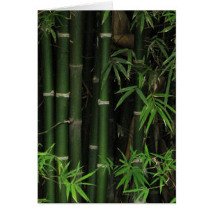 Bamboo ... Fao Rai, Nong Khai, Isaan, Thailand