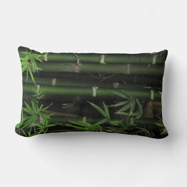 Bamboo ... Fao Rai, Nong Khai, Isaan, Thailand Lumbar Cushion (Front)