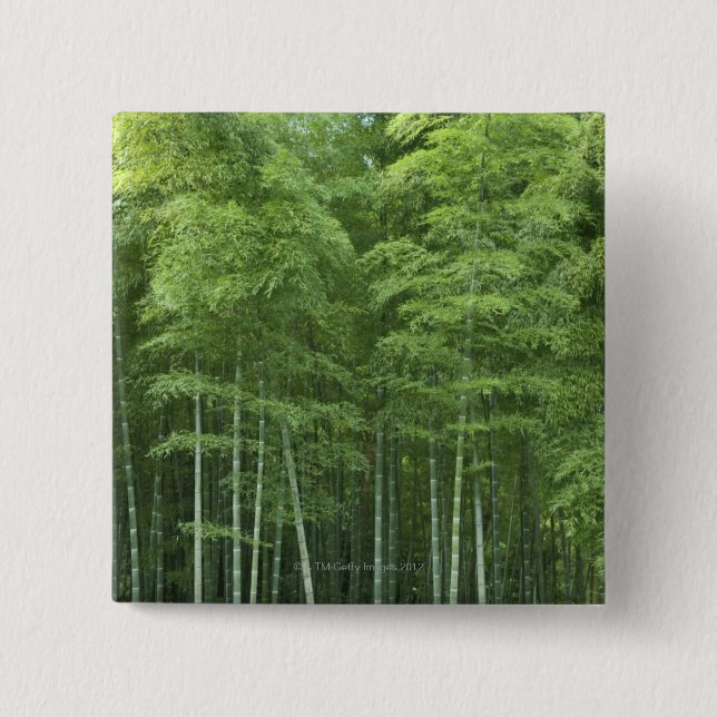 Bamboo Forest 15 Cm Square Badge (Front)