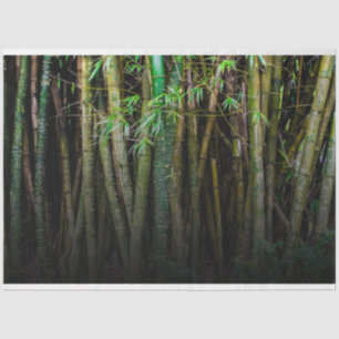 Bamboo Forest Decoupage 11 Background 2 Tissue Paper