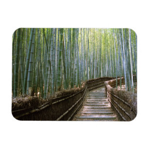 Bamboo Forest in Kyoto  Magnet