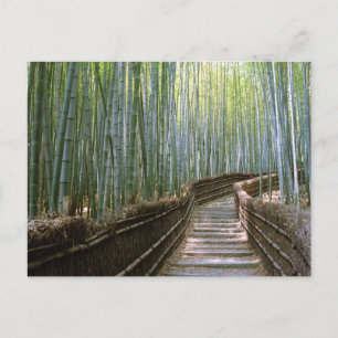 Bamboo Forest: Kyoto, Japan Postcard
