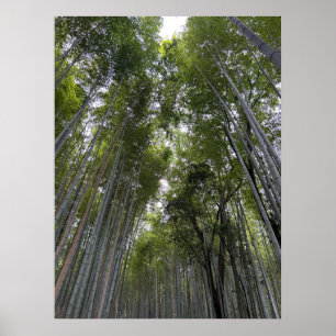 Bamboo Forest - Kyoto Poster