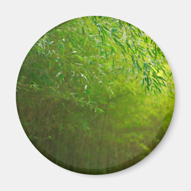 Bamboo forest magnet (Front)