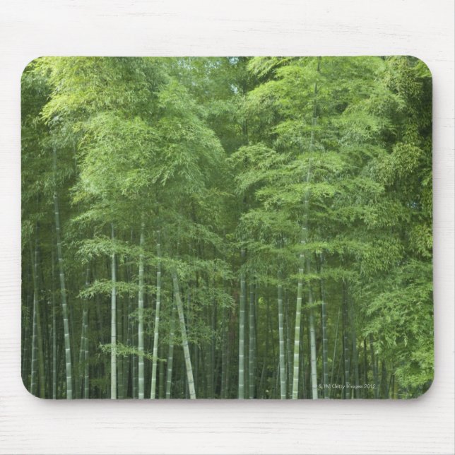 Bamboo Forest Mouse Pad (Front)