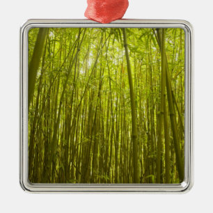 Bamboo Forest near Waikamoi Ridge Trail, North Metal Tree Decoration