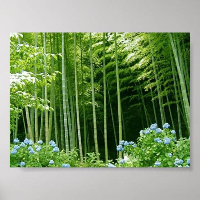 Bamboo Forest Poster (Front)