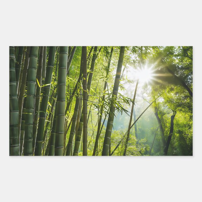 Bamboo Forest Rectangular Sticker (Front)