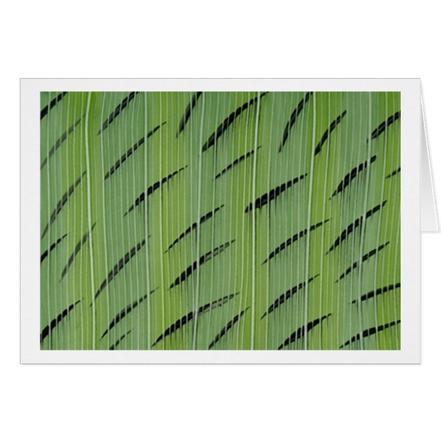 Bamboo Greens (Front Horizontal)