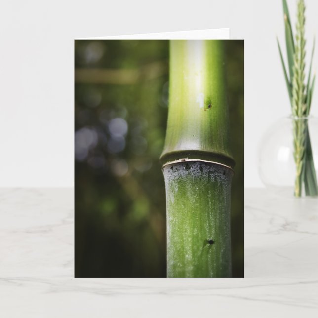 Bamboo Greeting Card (colour) (Front)