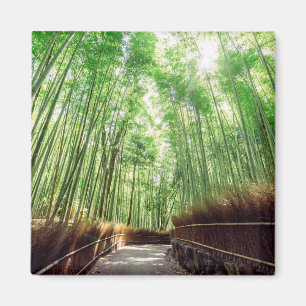 Bamboo Grove   Arashiyama, Kyoto, Japan Magnet