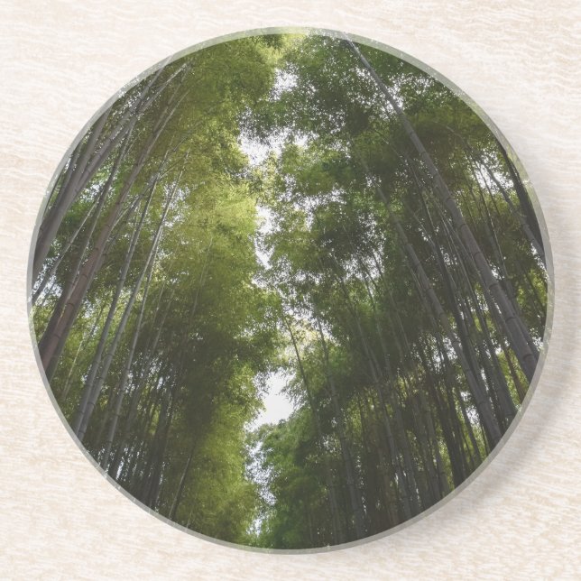 bamboo grove dec coaster (Front)