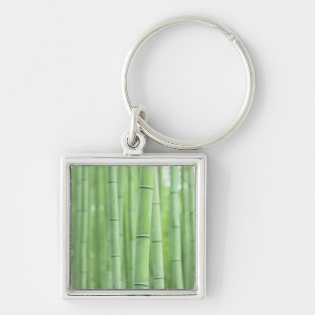 Bamboo Grove Key Ring (Front)