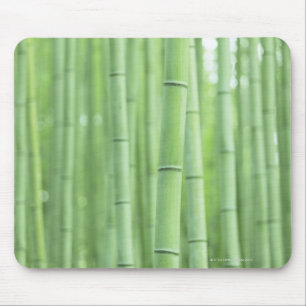 Bamboo Grove Mouse Pad