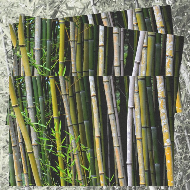Bamboo Grove Natural Photographic Tissue Paper (Creator Uploaded)