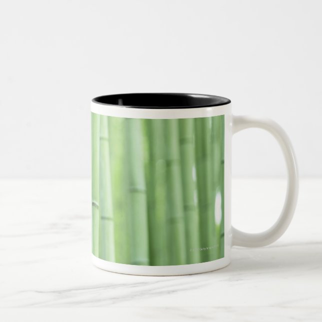 Bamboo Grove Two-Tone Coffee Mug (Right)