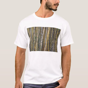 Bamboo in Hilo, Hawaii T-Shirt