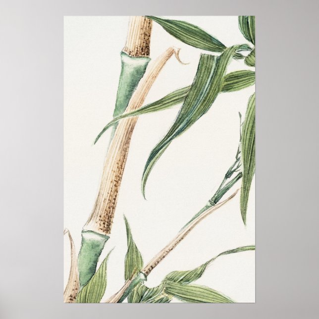 Bamboo Leaf Vintage Art Poster (Front)