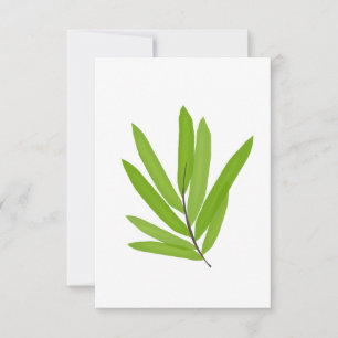 Bamboo Leaves Thank You Card