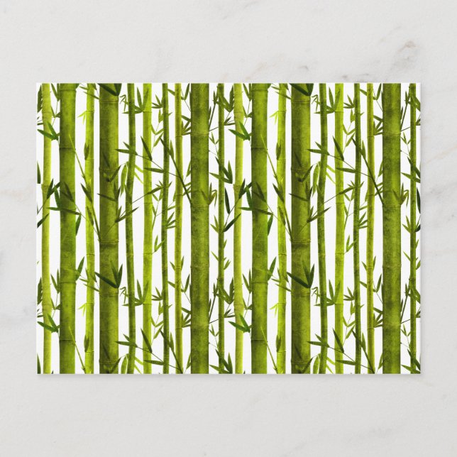 Bamboo Lessons Postcard (Front)