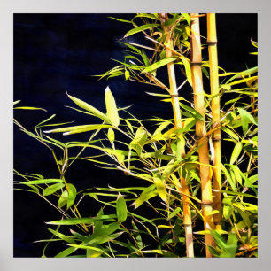 Bamboo On Black Poster