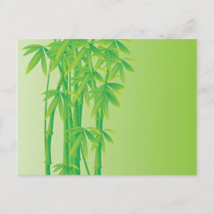 Bamboo Postcard