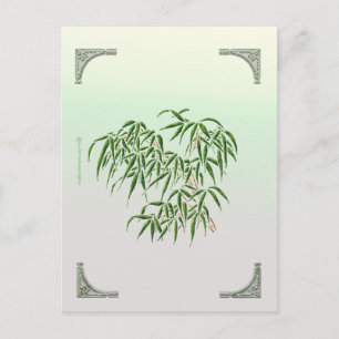 Bamboo Postcard