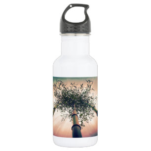 Bamboo Sky 532 Ml Water Bottle