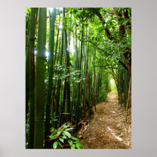 Bamboo Trail Poster