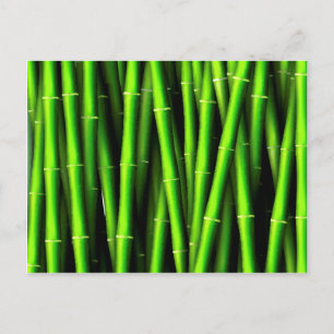 Bamboo tree natural pattern hipster fun trendy chi postcard