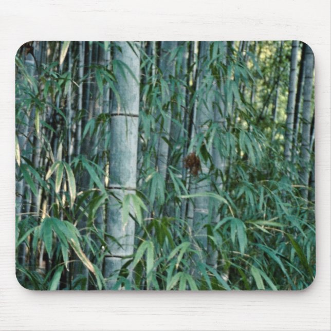 Bamboo trees, Kumamoto, Japan Mouse Pad (Front)