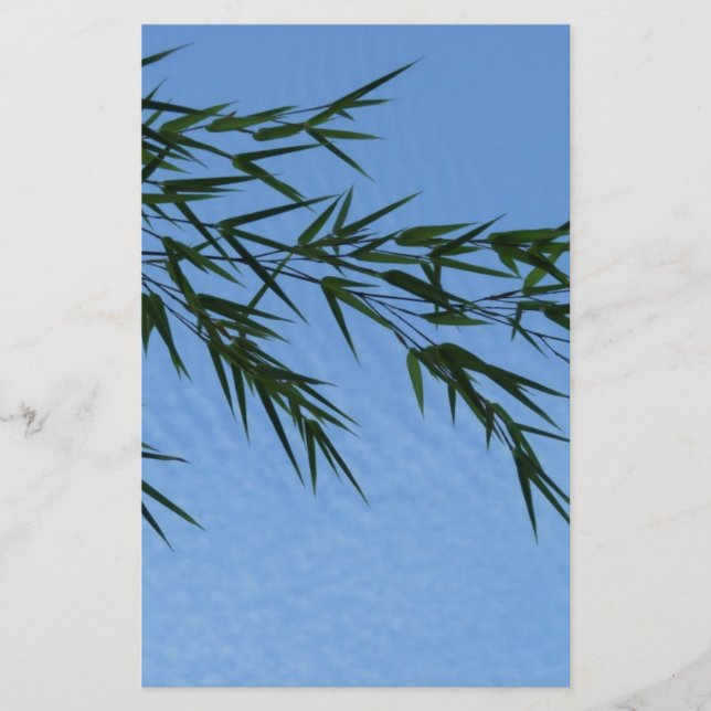 bambou sur ciel de nuages (Front)