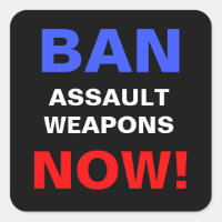 Ban Assault Weapons Now! Anti Gun Politics Protest