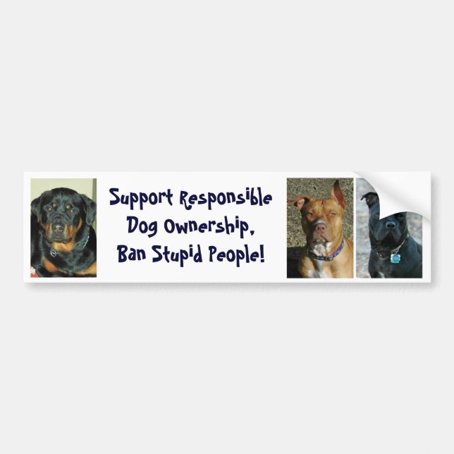 Ban Stupid People - Customised Bumper Sticker (Front)