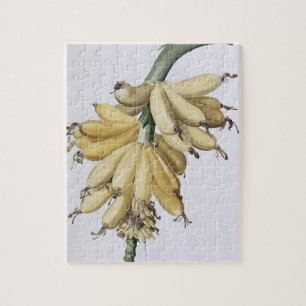 Banana, 1816 jigsaw puzzle