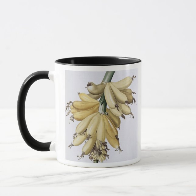 Banana, 1816 mug (Left)