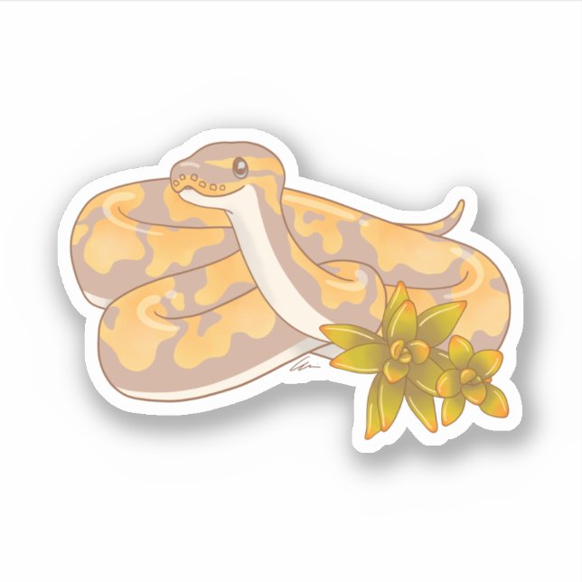 Banana Ball Python and Succulents Sticker (Front)