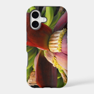 Banana Flower