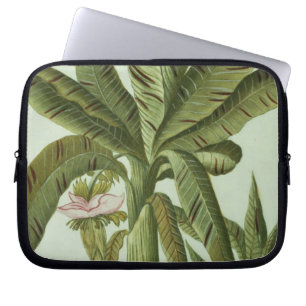 Banana, from J. Weinmann's Phytanthoza Iconographi Laptop Sleeve