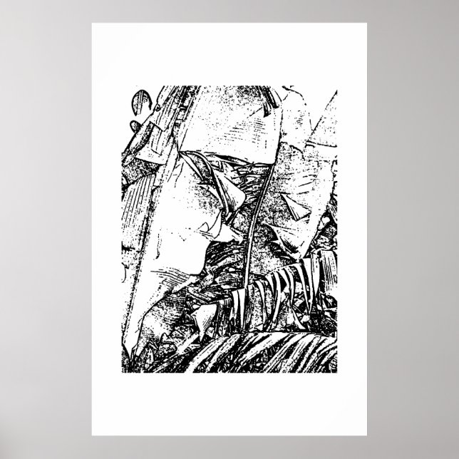 Banana Fronds Poster (Front)
